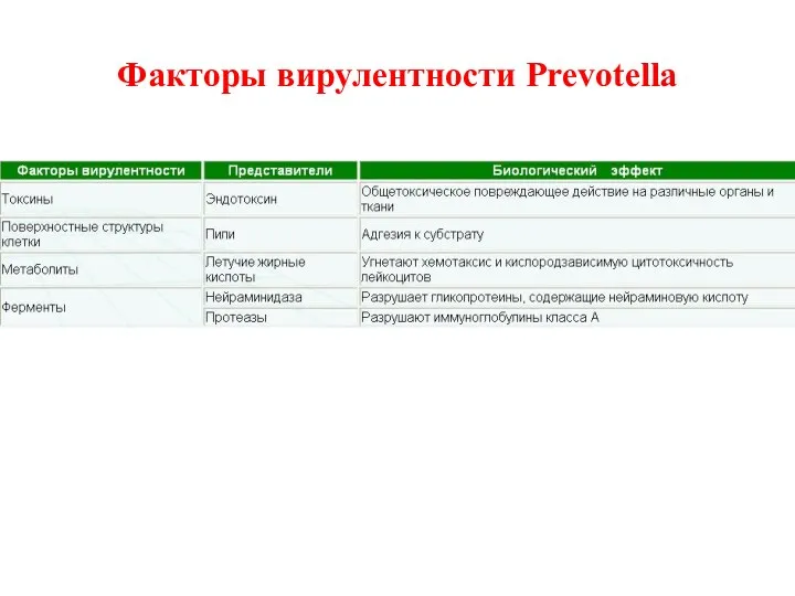 Факторы вирулентности Prevotella