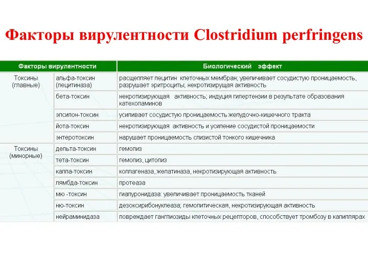 Факторы вирулентности Clostridium perfringens