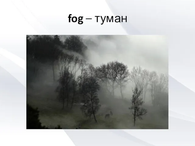 fog – туман