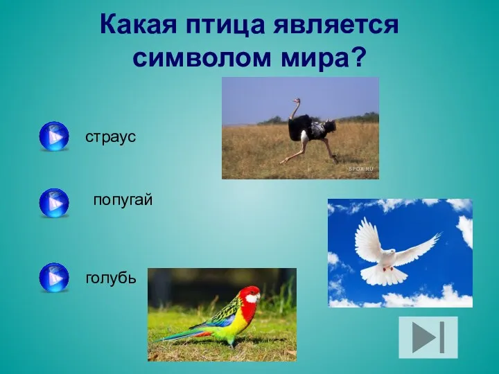 Какая птица является символом мира? страус попугай голубь