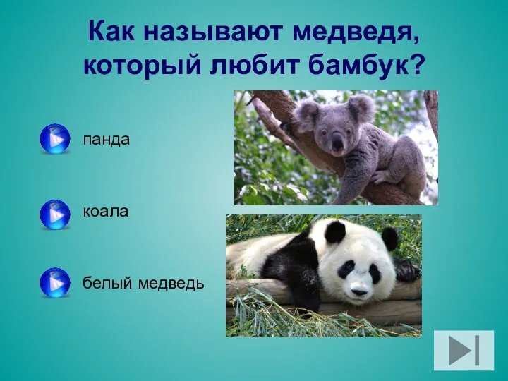 Как называют медведя, который любит бамбук? панда коала белый медведь