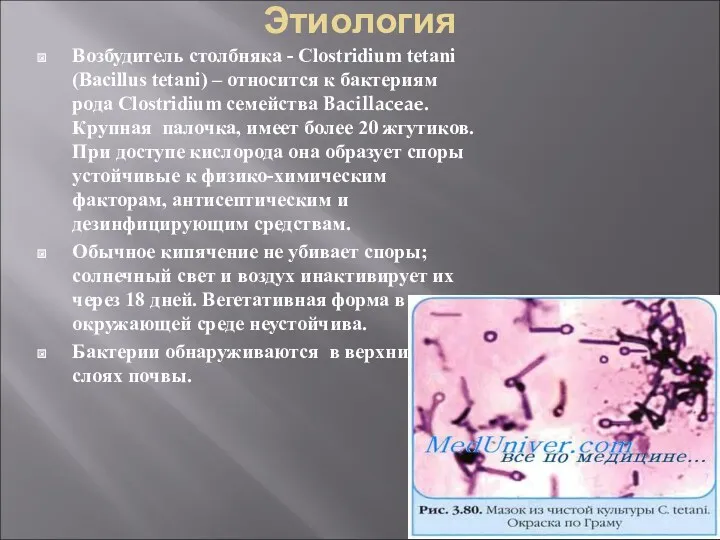 Этиология Возбудитель столбняка - Clostridium tetani (Bacillus tetani) – относится