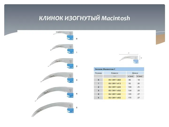 КЛИНОК ИЗОГНУТЫЙ Macintosh