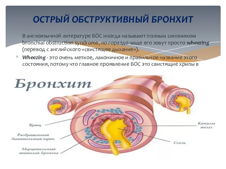 В англоязычной литературе БОС иногда называют полным синонимом bronchial obstruction