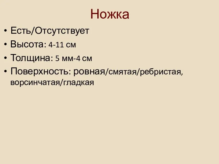 Ножка Есть/Отсутствует Высота: 4-11 см Толщина: 5 мм-4 см Поверхность: ровная/смятая/ребристая, ворсинчатая/гладкая