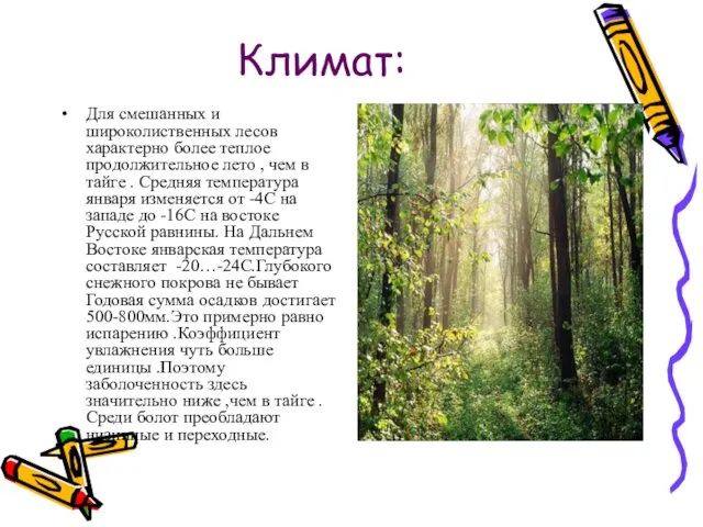 Климат: Для смешанных и широколиственных лесов характерно более теплое продолжительное