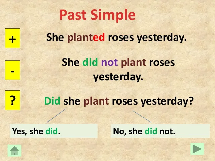 Past Simple She planted roses yesterday. + - ? She