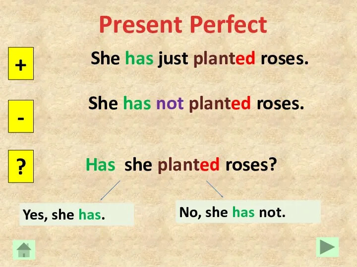 Present Perfect She has just planted roses. + - ?