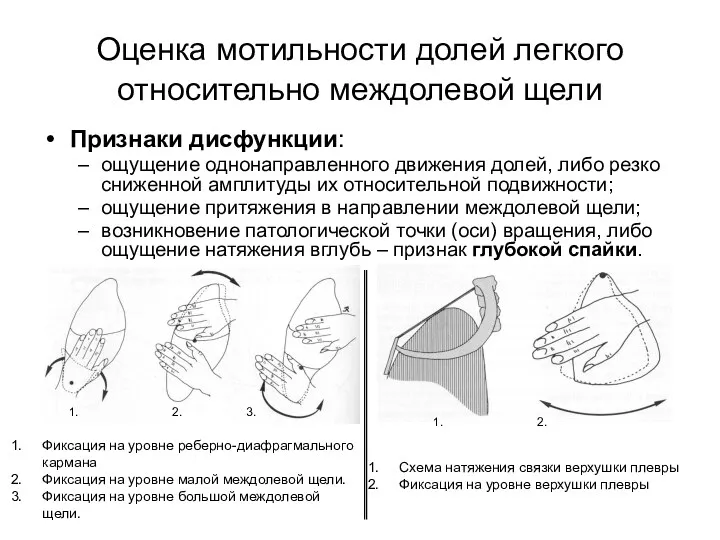 Оценка мотильности долей легкого относительно междолевой щели Признаки дисфункции: ощущение