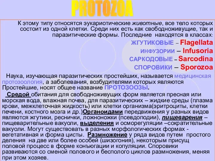 К этому типу относятся эукариотические животные, все тело которых состоит из одной клетки.