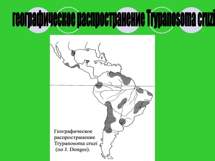 географическое распространение Trypanosoma cruzi