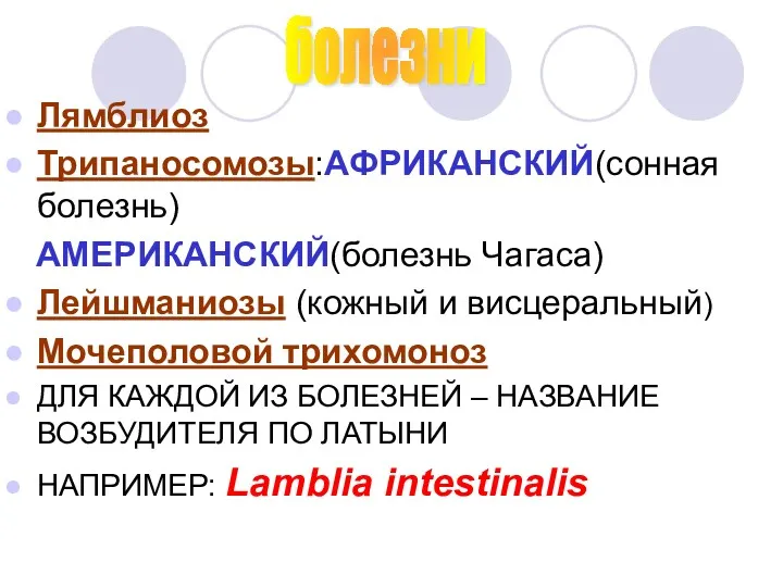 Лямблиоз Трипаносомозы:АФРИКАНСКИЙ(сонная болезнь) АМЕРИКАНСКИЙ(болезнь Чагаса) Лейшманиозы (кожный и висцеральный) Мочеполовой трихомоноз ДЛЯ КАЖДОЙ