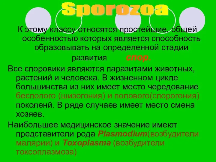 К этому классу относятся простейшие, общей особенностью которых является способность образовывать на определенной