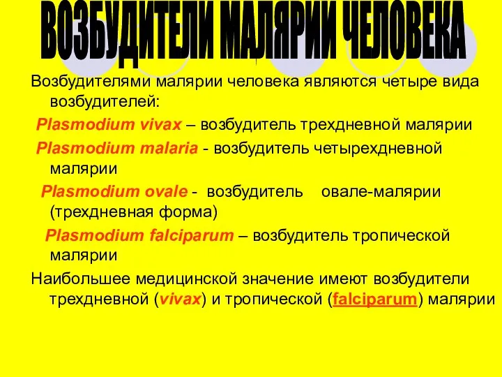 Возбудителями малярии человека являются четыре вида возбудителей: Plasmodium vivax – возбудитель трехдневной малярии