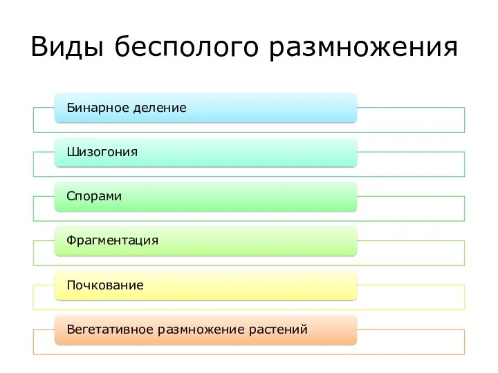 Виды бесполого размножения