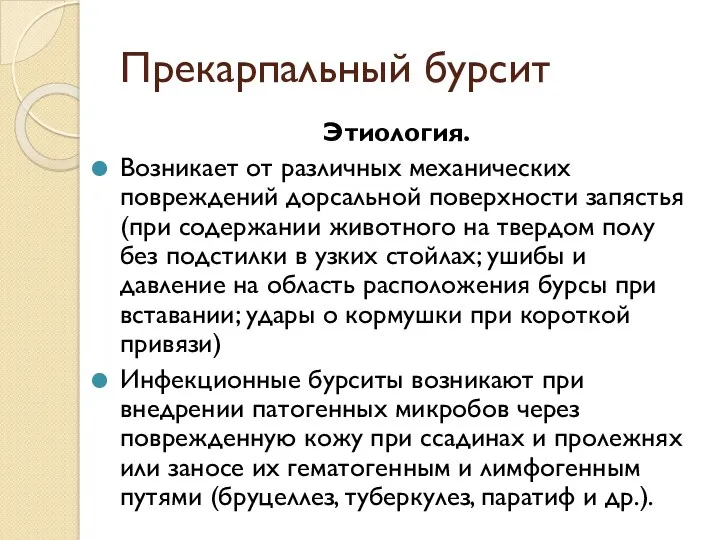 Прекарпальный бурсит Этиология. Возникает от различных механических повреждений дорсальной поверхности