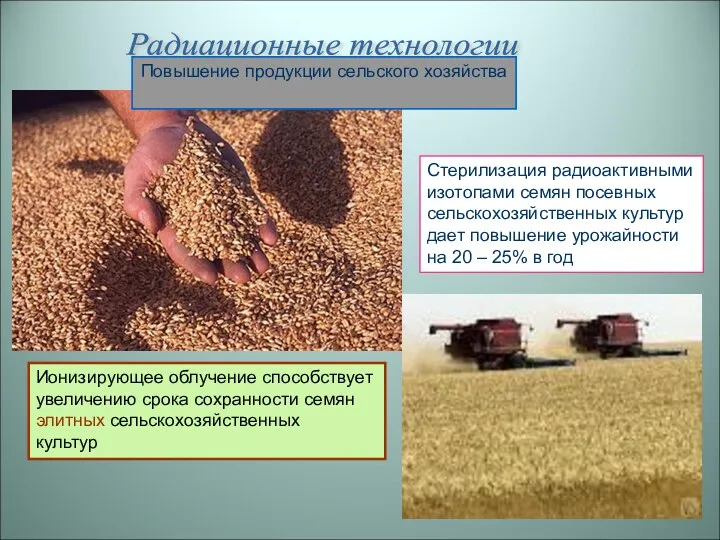 Радиационные технологии Стерилизация радиоактивными изотопами семян посевных сельскохозяйственных культур дает