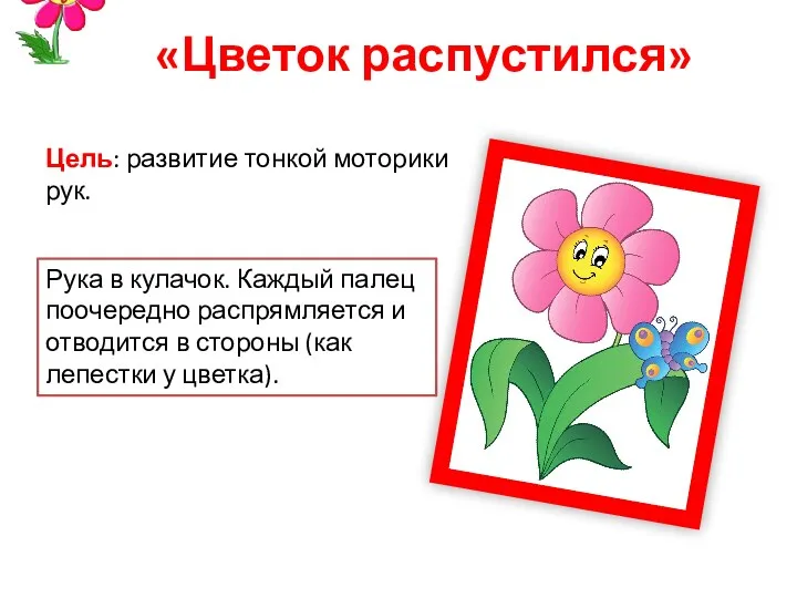 «Цветок распустился» Цель: развитие тонкой моторики рук. Рука в кулачок.