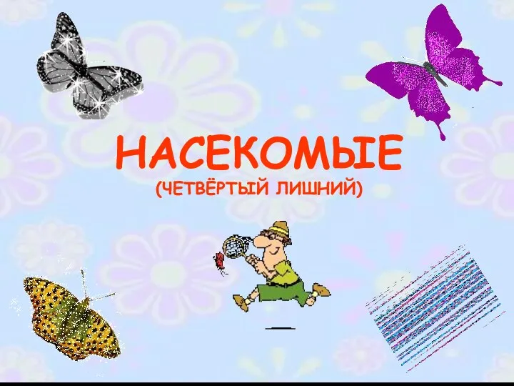 Насекомые (четвертый лишний)