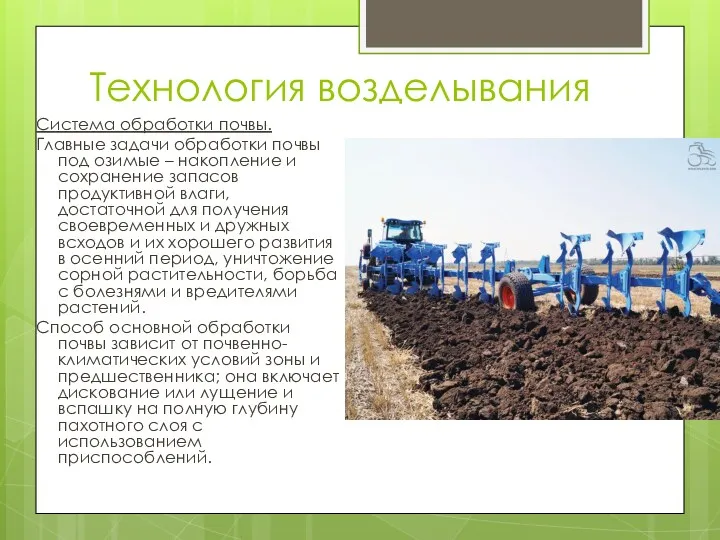 Система обработки почвы. Главные задачи обработки почвы под озимые –