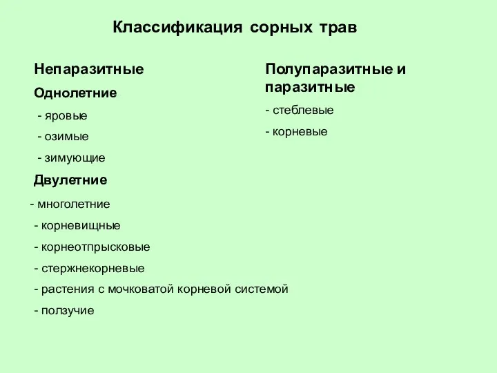 Классификация сорных трав Непаразитные Однолетние - яровые - озимые -