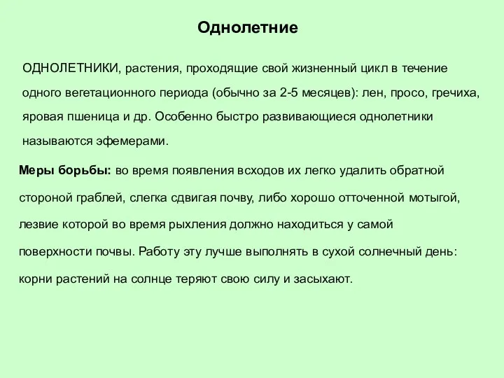 Однолетние ОДНОЛЕТНИКИ, растения, проходящие свой жизненный цикл в течение одного