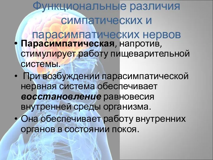 Функциональные различия симпатических и парасимпатических нервов Парасимпатическая, напротив, стимулирует работу