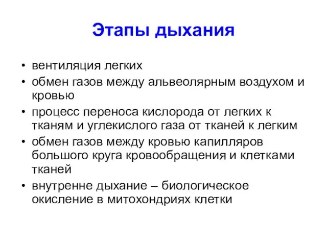 Этапы дыхания вентиляция легких обмен газов между альвеолярным воздухом и