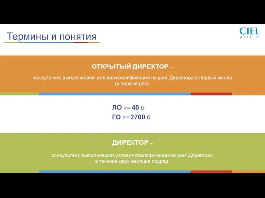 Термины и понятия ОТКРЫТЫЙ ДИРЕКТОР – консультант, выполнивший условия квалификации