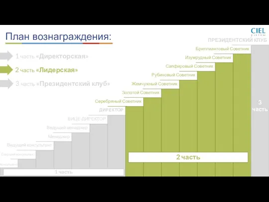 Консультант Старший консультант Ведущий консультант Менеджер Ведущий менеджер ВИЦЕ-ДИРЕКТОР ДИРЕКТОР