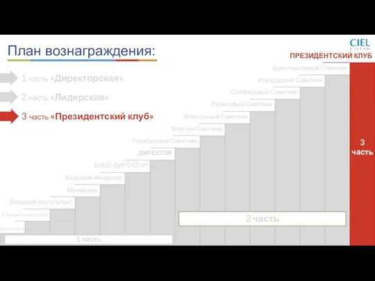 Консультант Старший консультант Ведущий консультант Менеджер Ведущий менеджер ВИЦЕ-ДИРЕКТОР ДИРЕКТОР