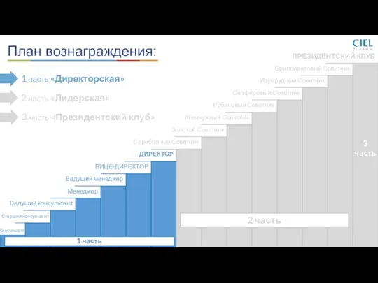 Консультант Старший консультант Ведущий консультант Менеджер Ведущий менеджер ВИЦЕ-ДИРЕКТОР ДИРЕКТОР