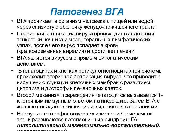 Патогенез ВГА ВГA проникает в организм человека с пищей или