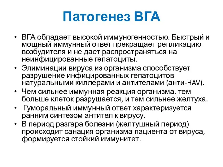 Патогенез ВГА ВГА обладает высокой иммуногенностью. Быстрый и мощный иммунный