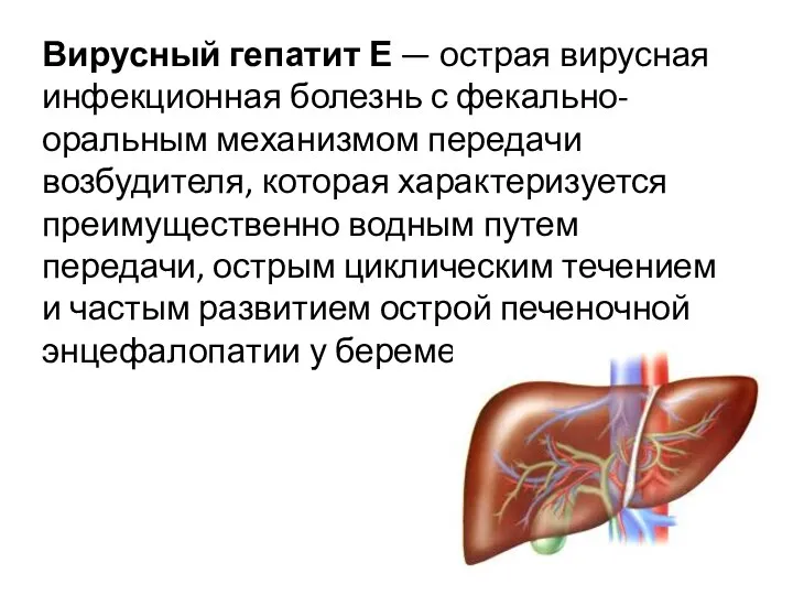 Вирусный гепатит Е — острая вирусная инфекционная болезнь с фекально-оральным