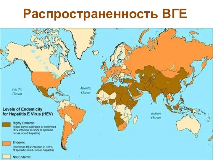 Распространенность ВГЕ