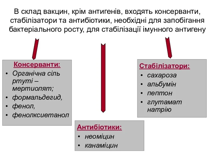 В склад вакцин, крім антигенів, входять консерванти, стабілізатори та антибіотики,