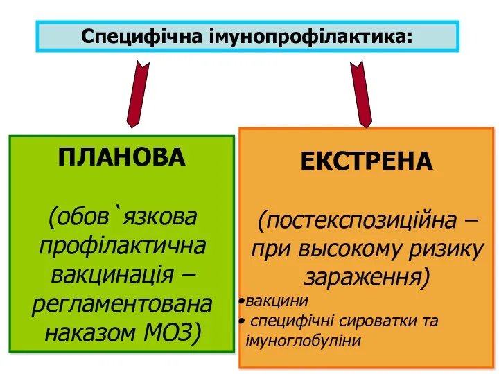 ПЛАНОВА (обов`язкова профілактична вакцинація – регламентована наказом МОЗ) ЕКСТРЕНА (постекспозиційна