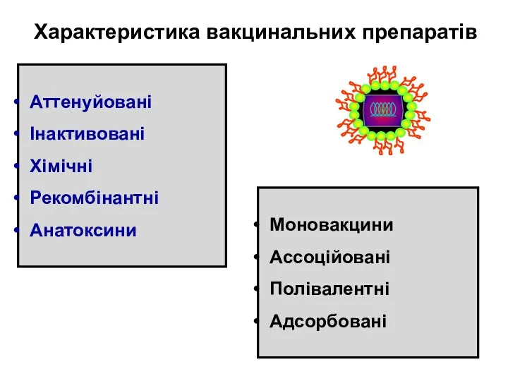 Характеристика вакцинальних препаратів Аттенуйовані Інактивовані Хімічні Рекомбінантні Анатоксини Моновакцини Ассоційовані Полівалентні Адсорбовані