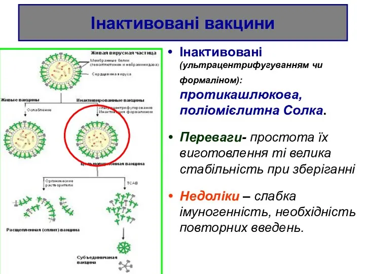 Інактивовані вакцини Інактивовані (ультрацентрифугуванням чи формаліном): протикашлюкова, поліомієлитна Солка. Переваги-