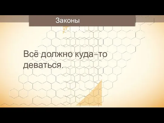 Законы экологии Всё должно куда-то деваться.