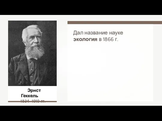 Эрнст Геккель 1834–1919 гг. Дал название науке экология в 1866 г.