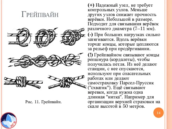 Грейпвайн (+) Надежный узел, не требует контрольных узлов. Меньше других