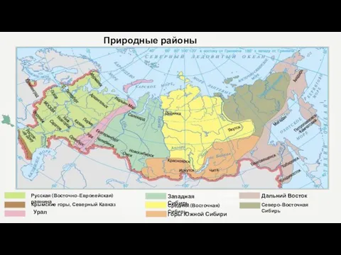 Природные районы России Средняя Сибирь Западная Сибирь Урал Горы Южной