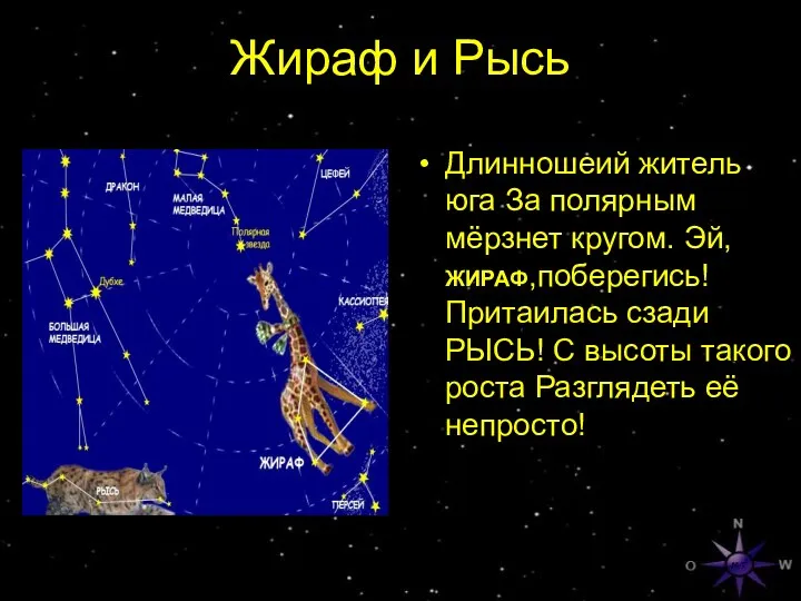 Жираф и Рысь Длинношеий житель юга За полярным мёрзнет кругом.