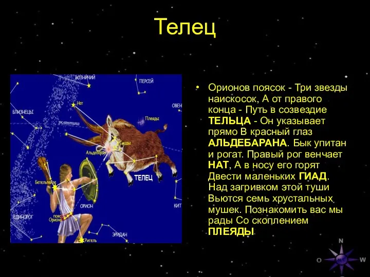 Телец Орионов поясок - Три звезды наискосок, А от правого