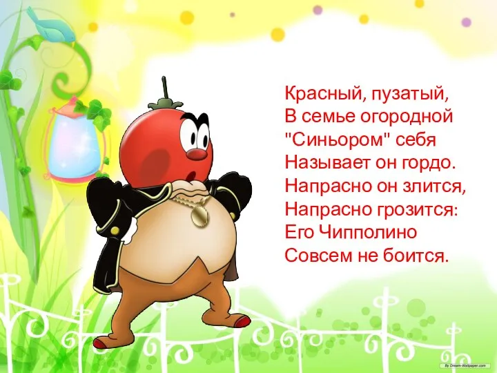 Красный, пузатый, В семье огородной "Синьором" себя Называет он гордо.