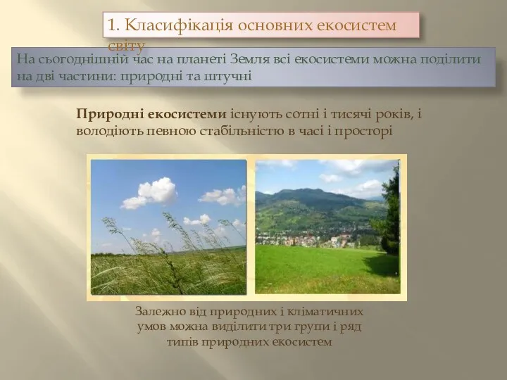 На сьогоднішній час на планеті Земля всі екосистеми можна поділити