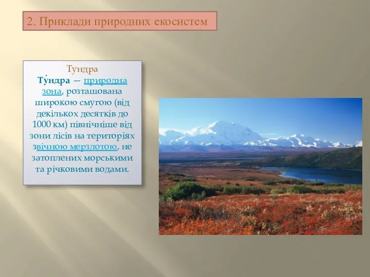2. Приклади природних екосистем Тундра Ту́ндра — природна зона, розташована