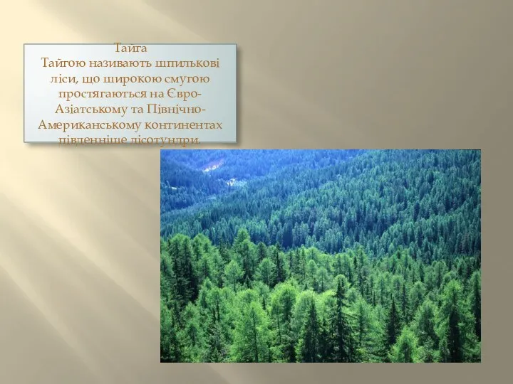 Тайга Тайгою називають шпилькові ліси, що широкою смугою простягаються на Євро-Азіатському та Північно-Американському континентах південніше лісотундри.